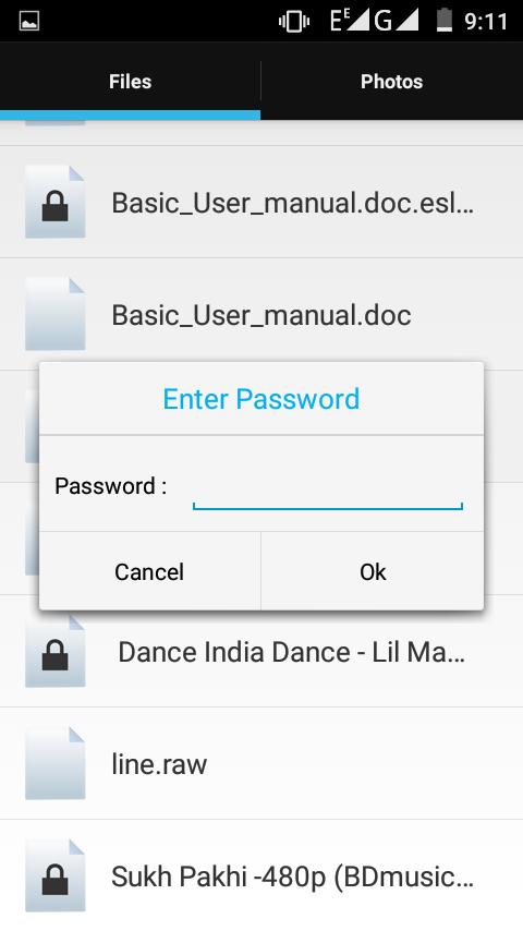 Crude File Locker