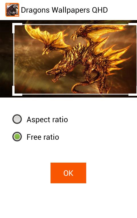 Dragons Wallpapers QHD