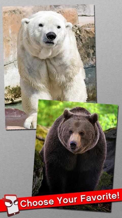 Angry Bear Free!