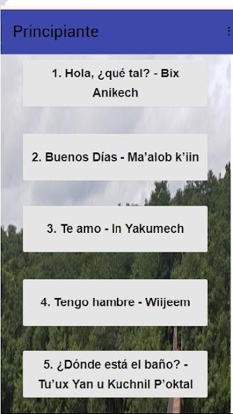 Aprende Maya Yucateco