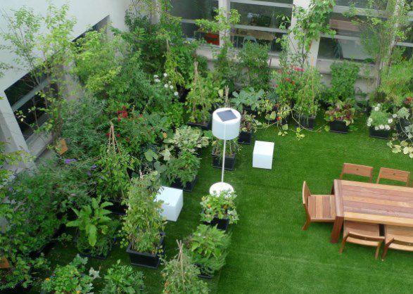 green rooftop garden