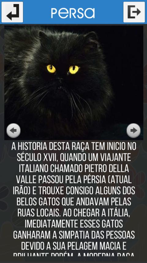 Felinos
