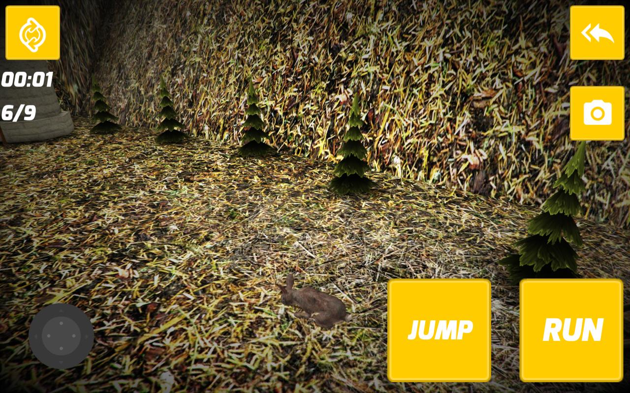 Rabbit Jumping Game