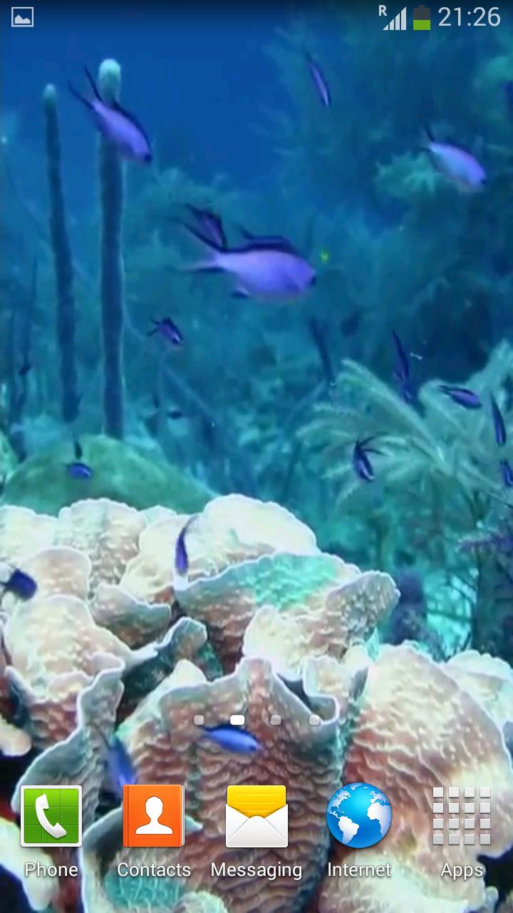 Sea Life Video Wallpapers