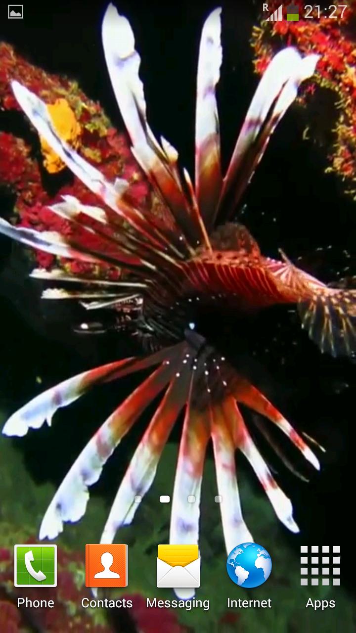 Sea Life Video Wallpapers