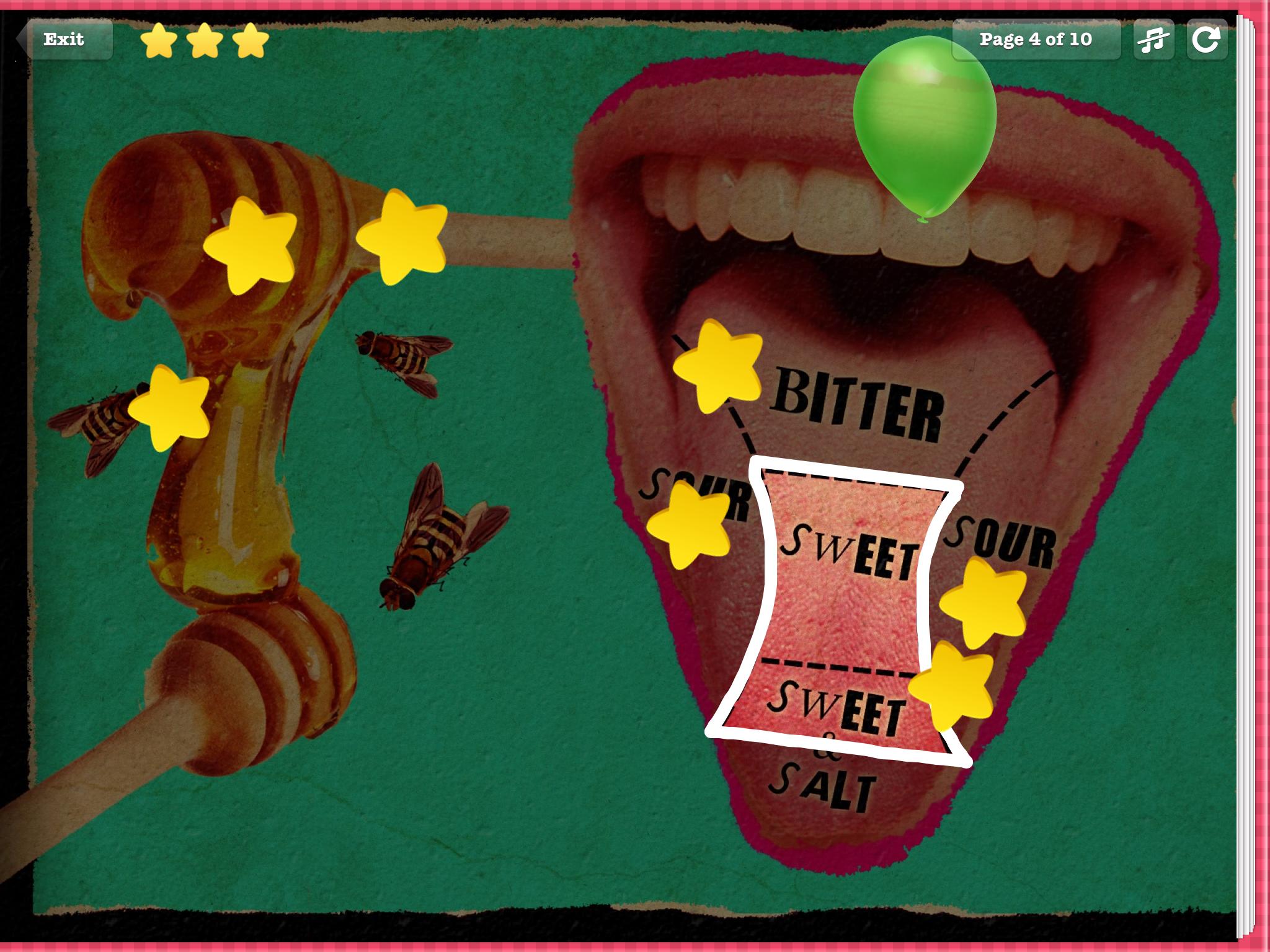 Human Anatomy for Kids - Taste