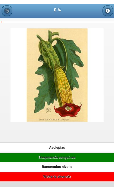 Noxious plants - quiz