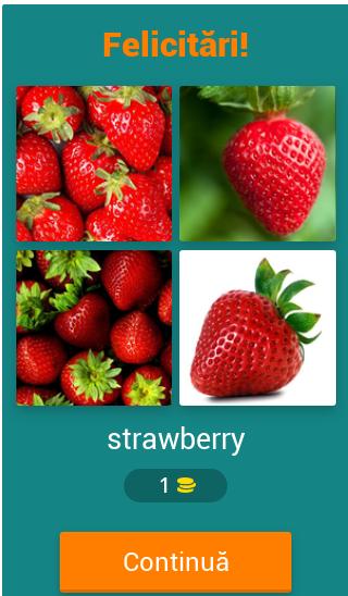 Numele Fructelor in Engleza