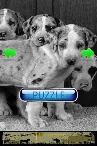 Dog Puzzle