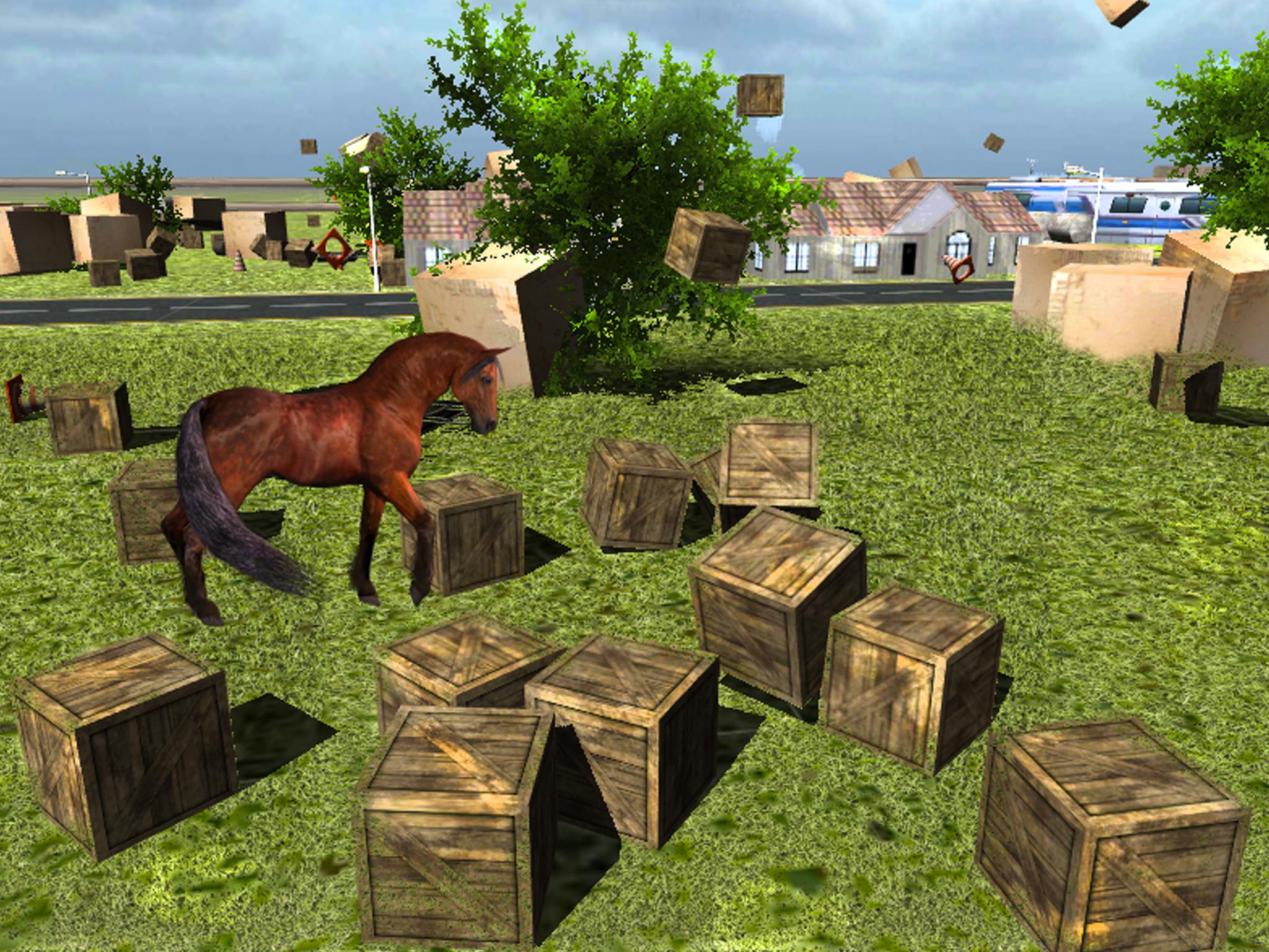 Crazy Horse City Rampage