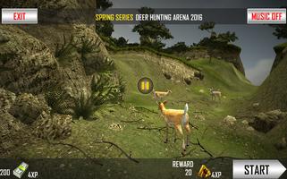 Deer Wild  Animal  Hunter