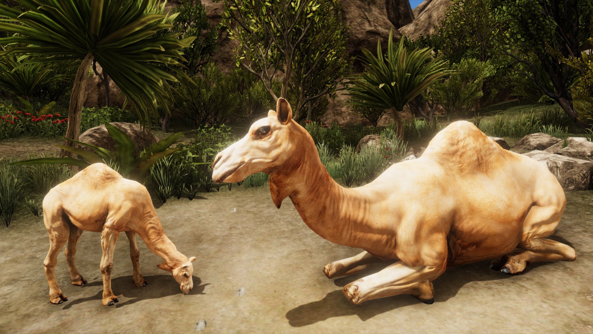 Ultimate Camel Simulator