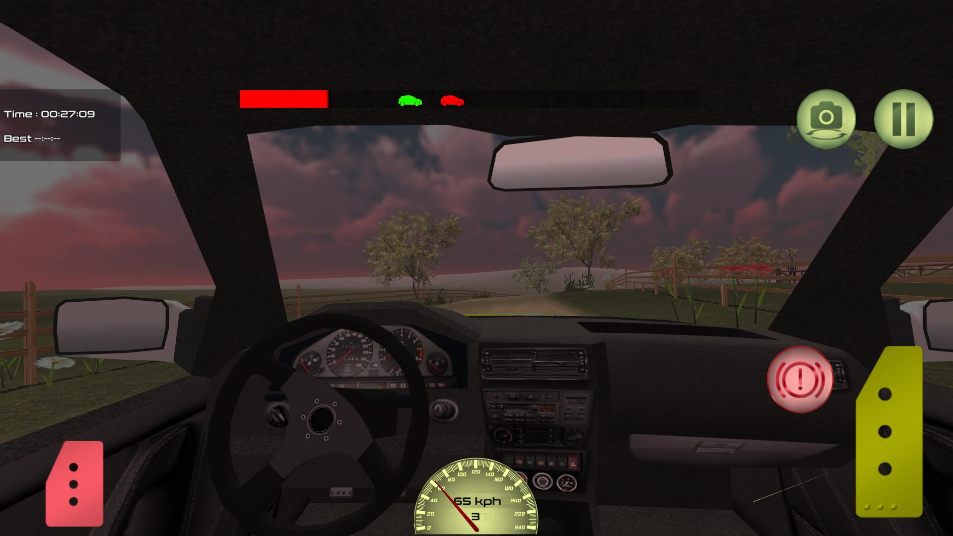 Rally Driver