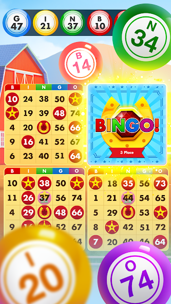 Bingo Country Boys