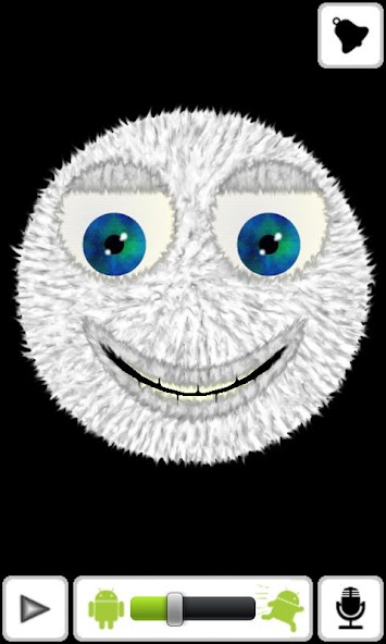 Talking Hairy Ball
