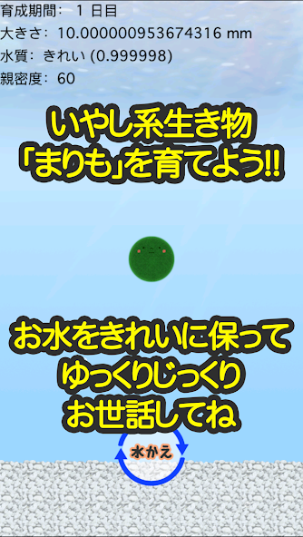 Marimo bleeding