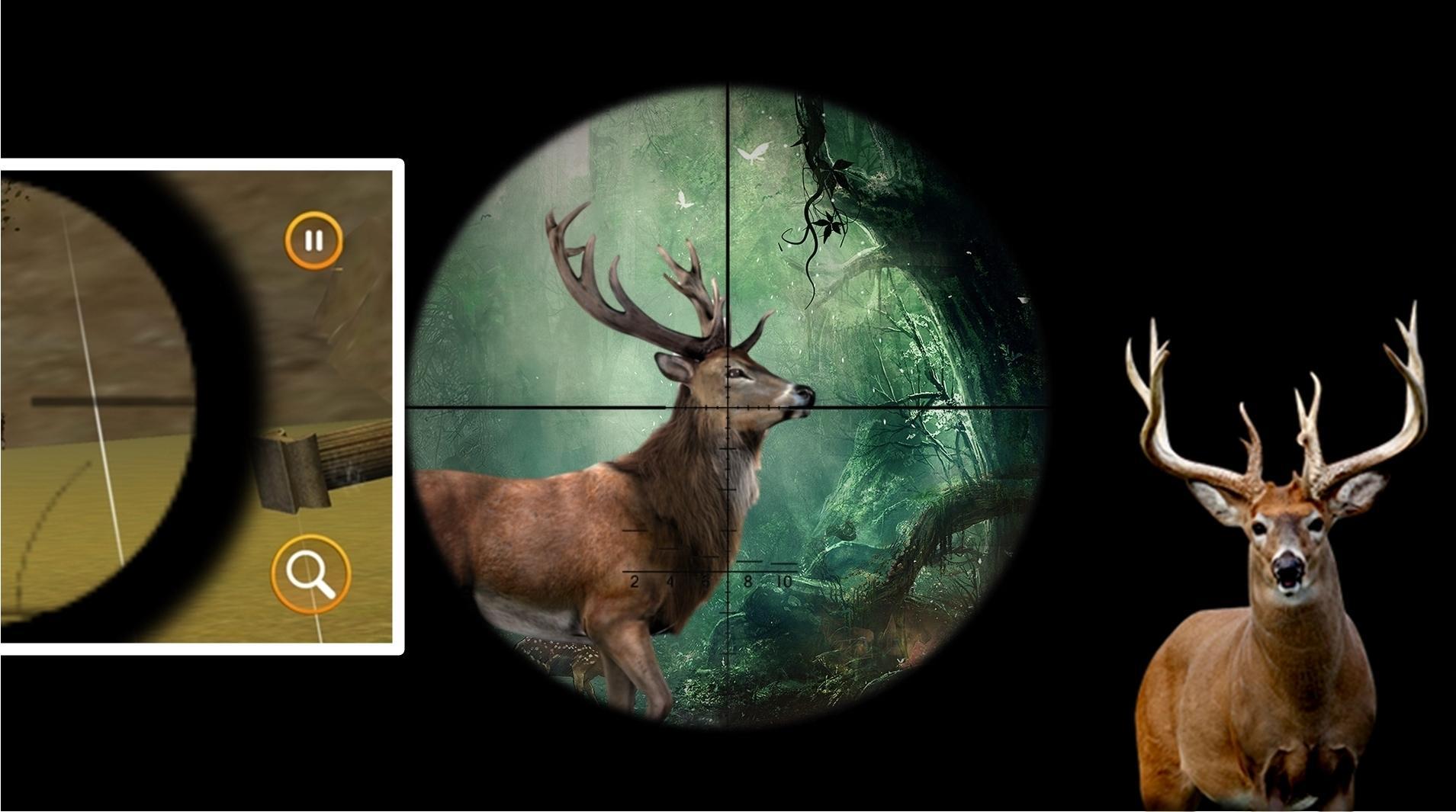 Shoot Deer All