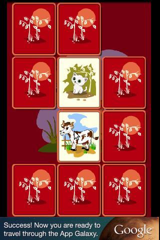 Memory Animals