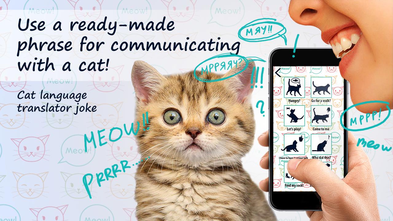 Cat language translator joke