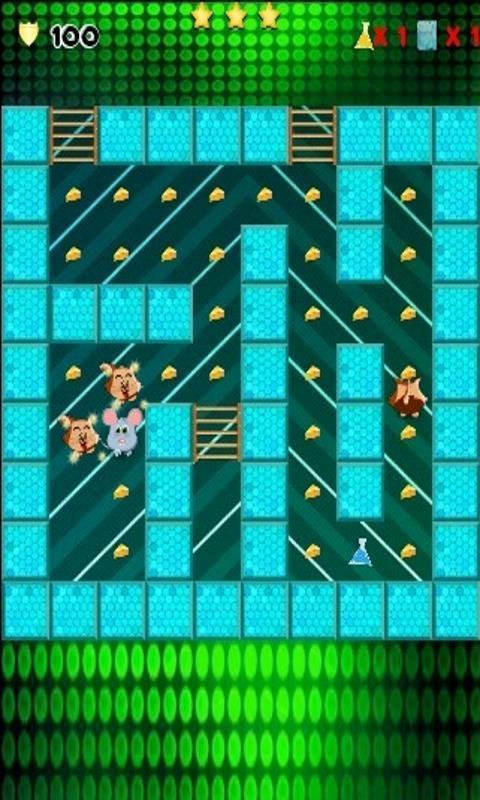 Crazy Mouse Maze
