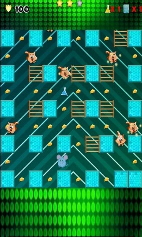 Crazy Mouse Maze