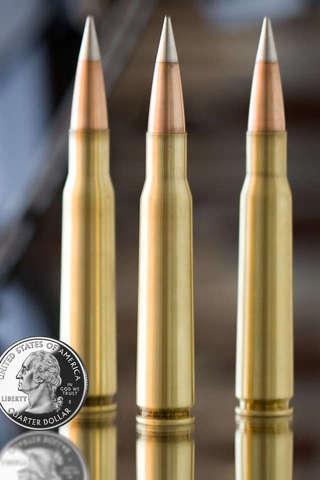 Bullet Puzzle