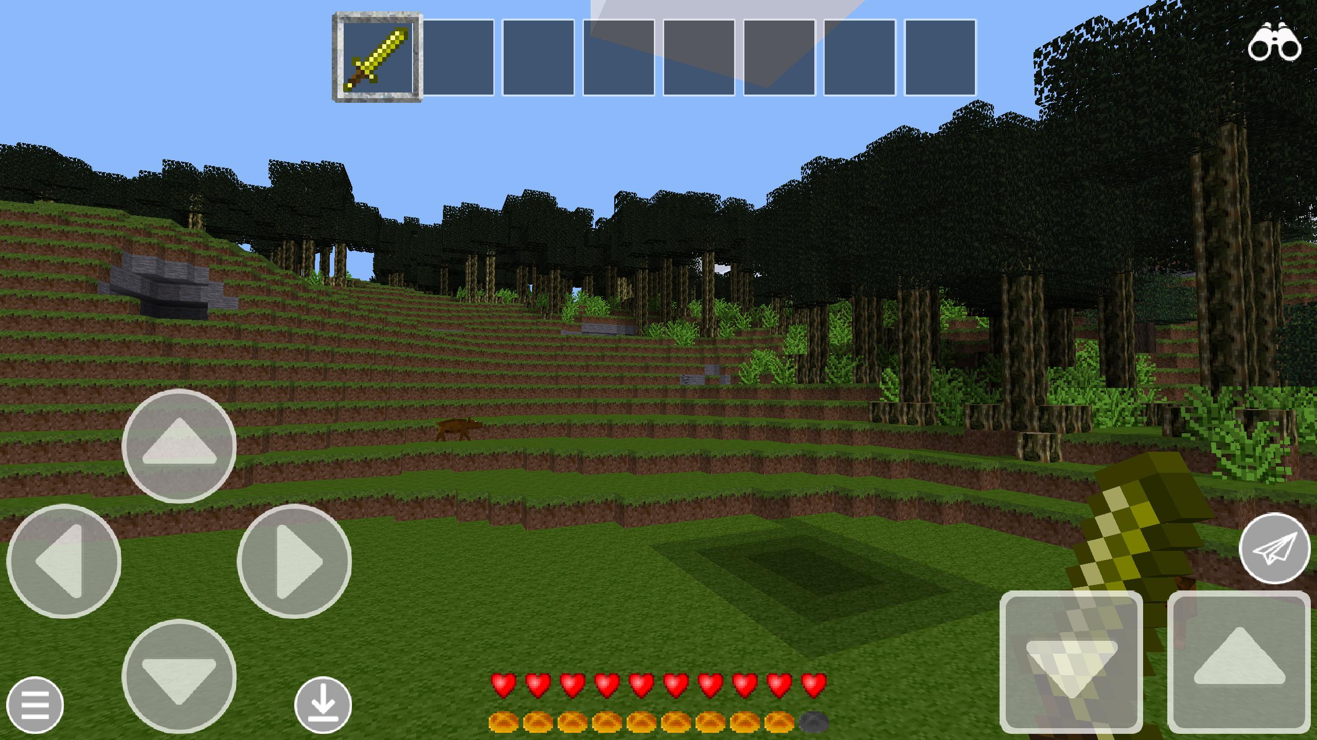 Crazy Craft : Survival Island