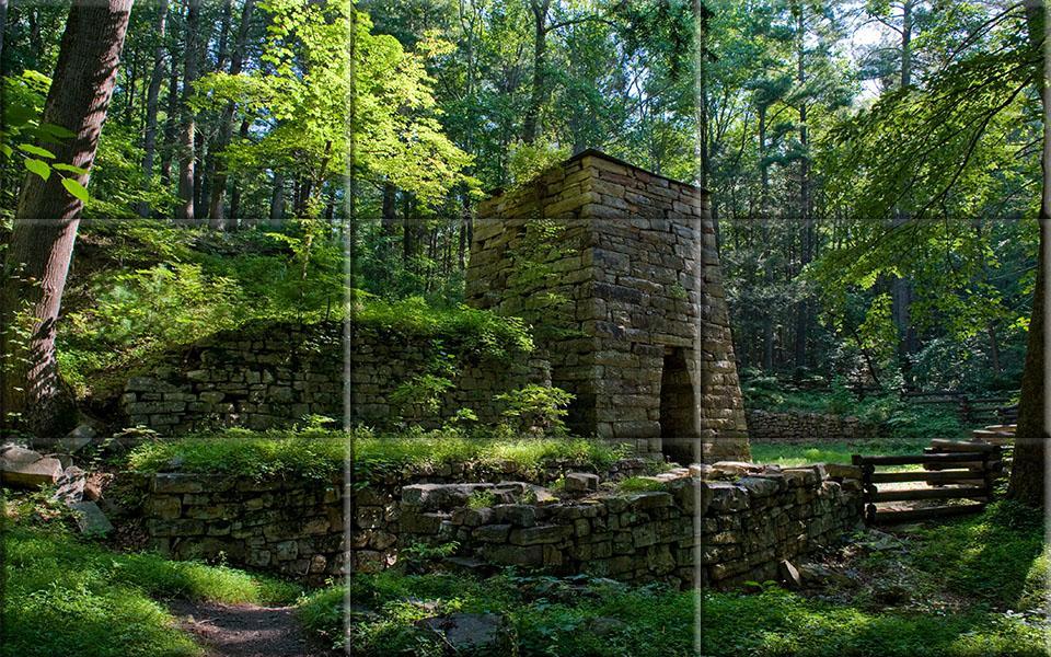 puzzle - forests