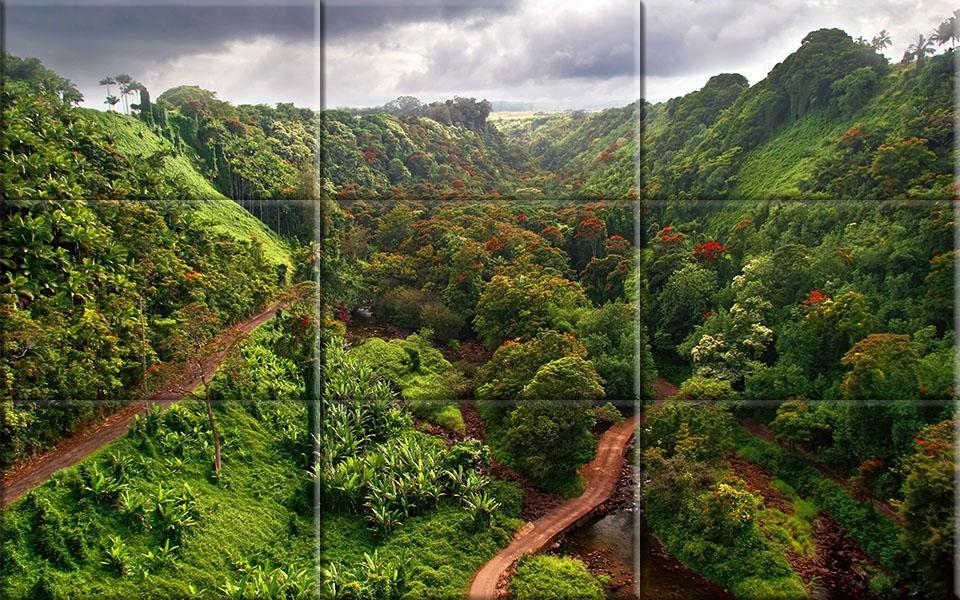 puzzle - forests