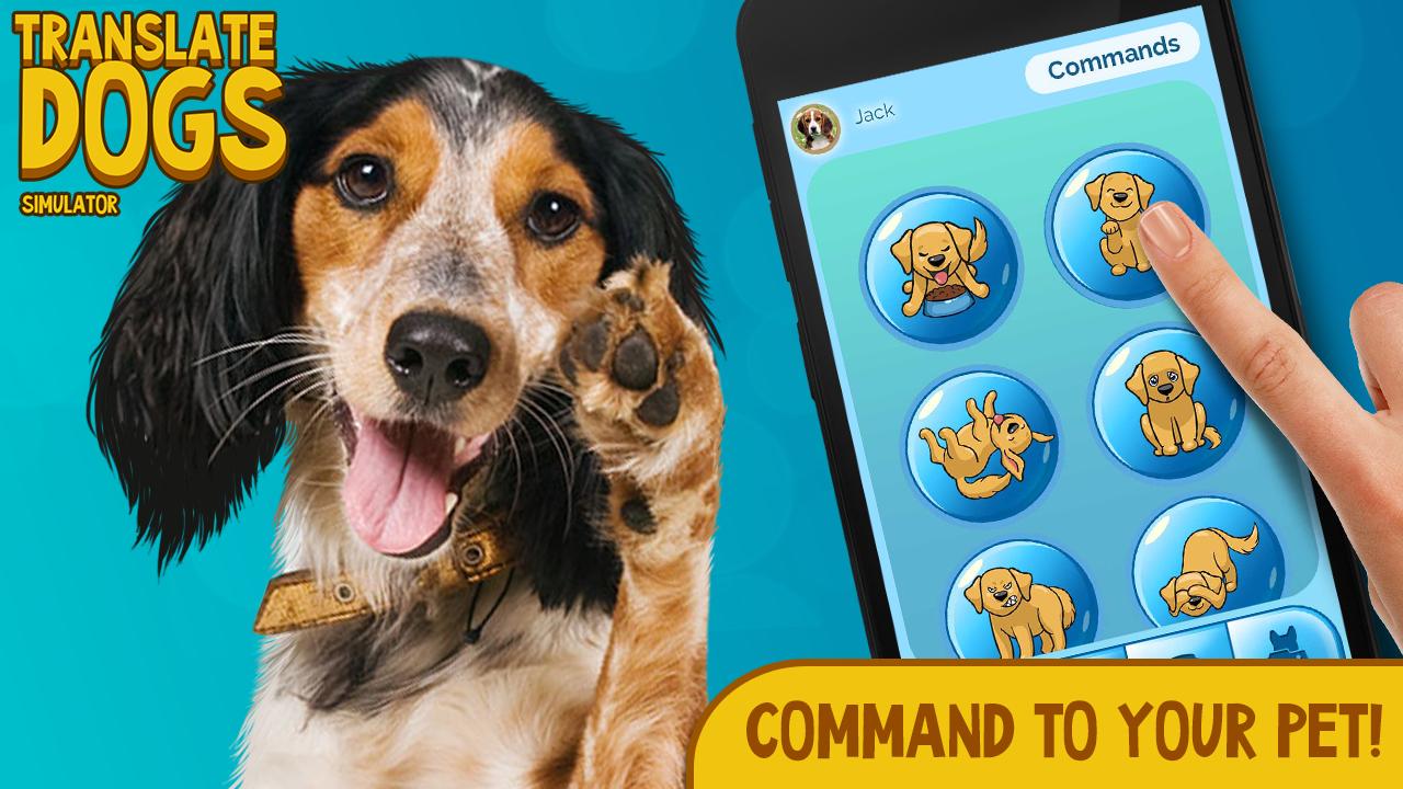 Translate Dogs. Simulator