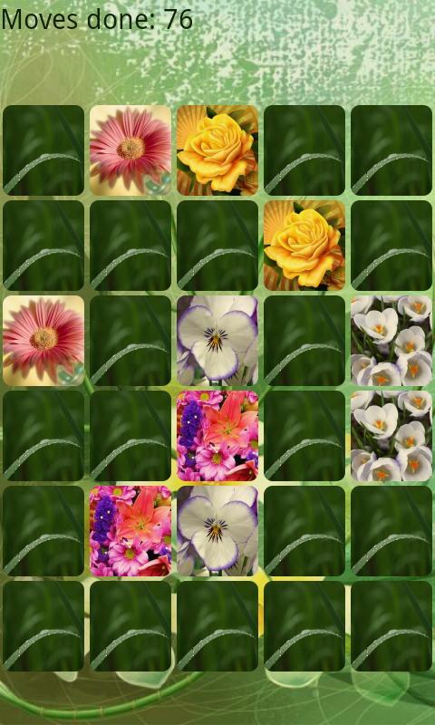 Flowers Memory HD