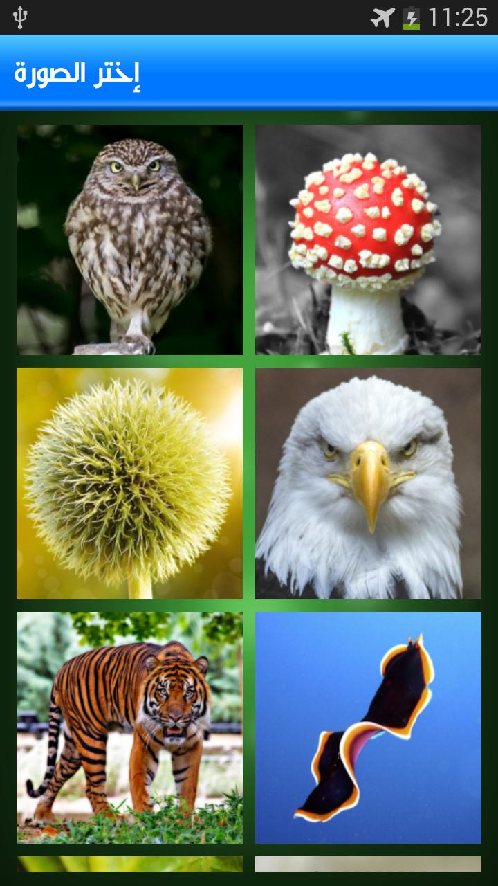 Nature Puzzle