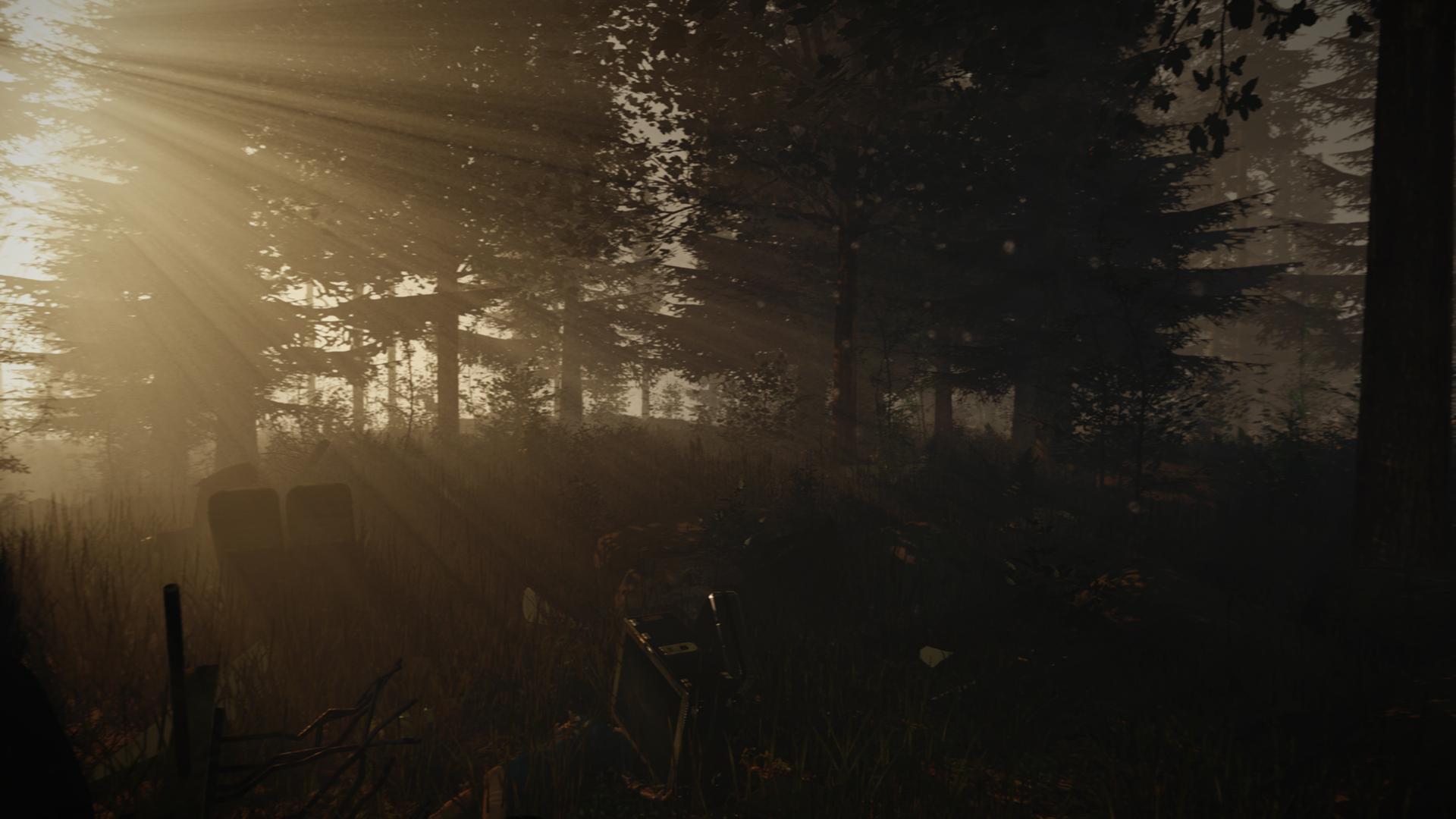 Forest WIKI