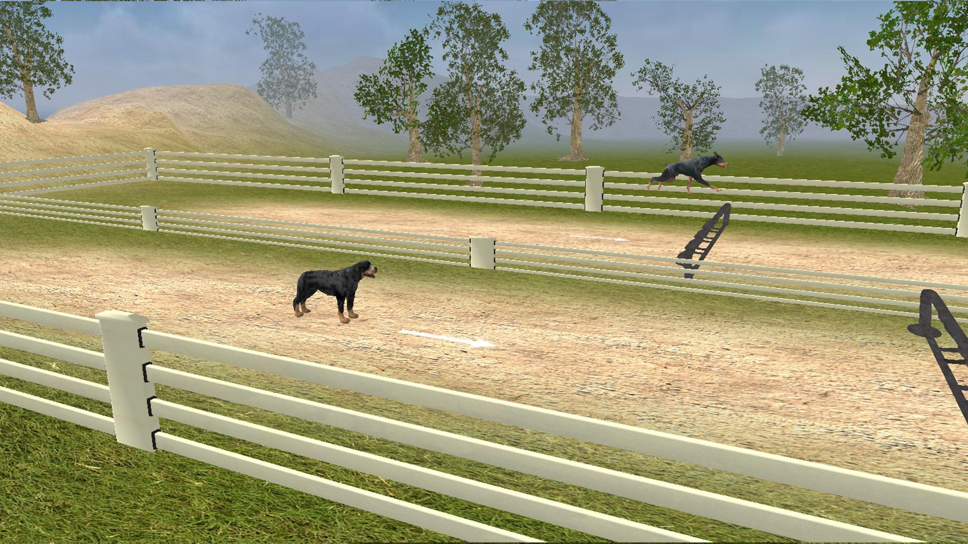 Rottweiler
