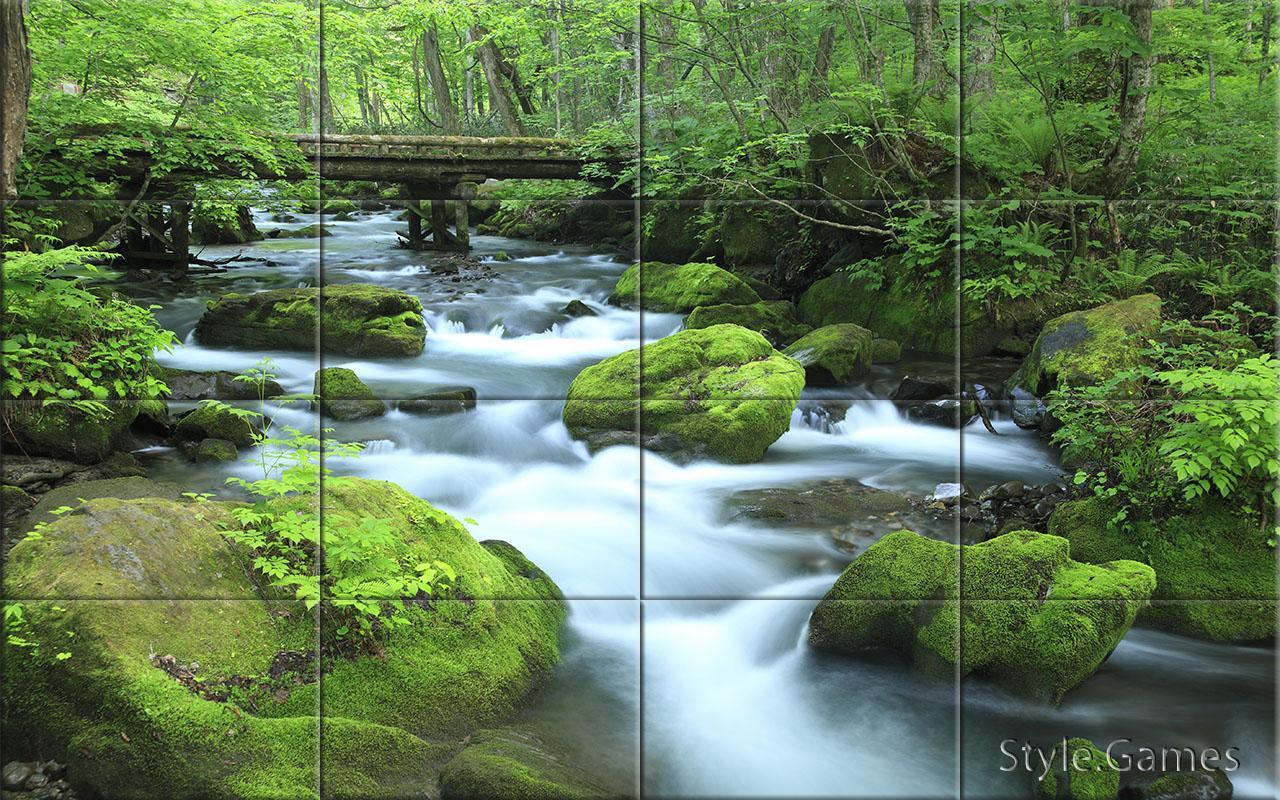 Rivers Puzzle