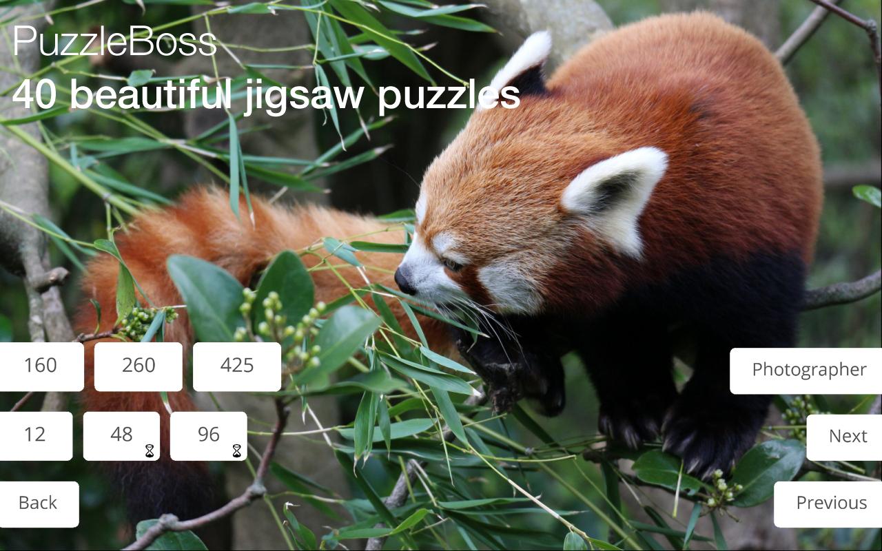 Jigsaw Puzzles: Wild Animals