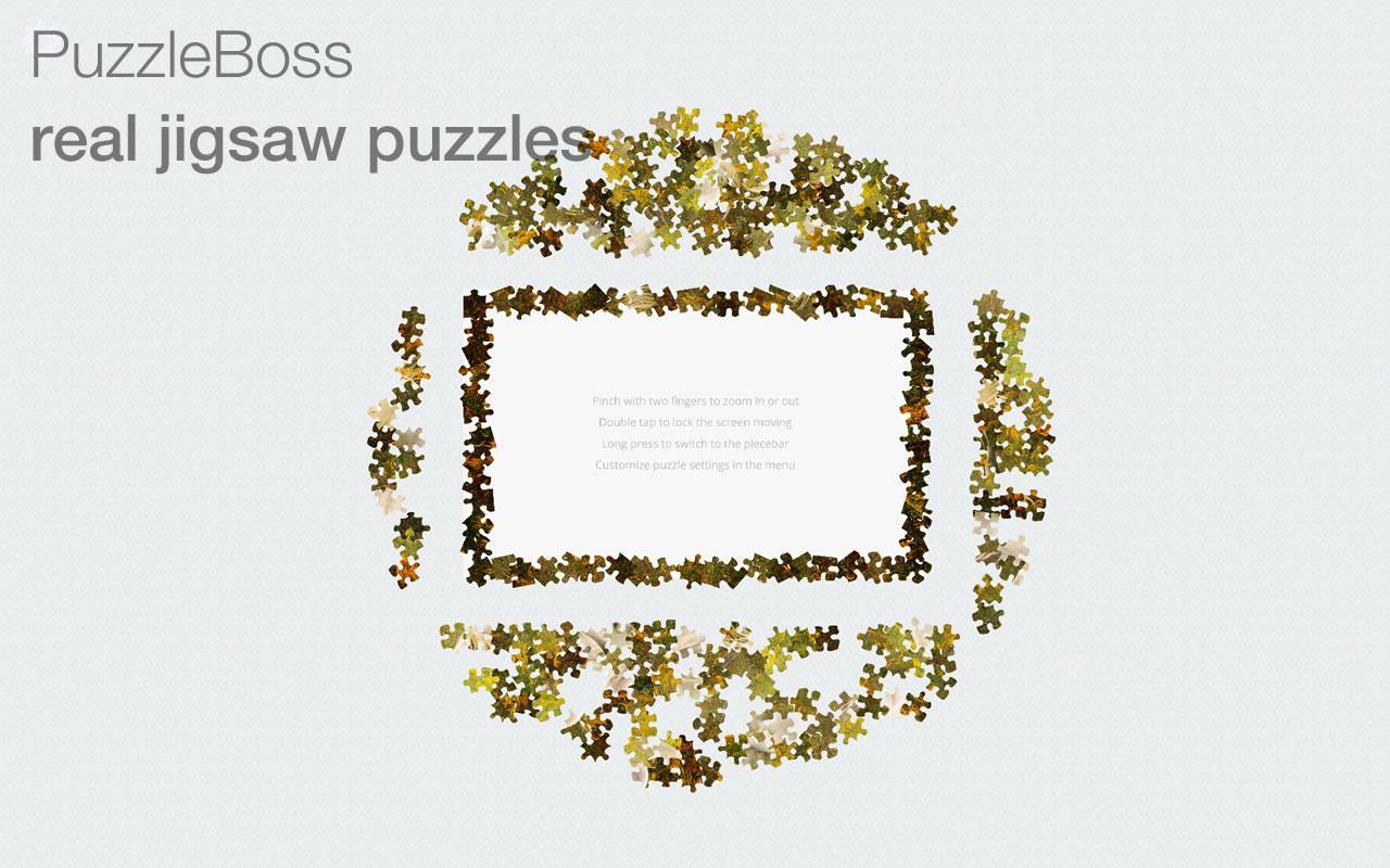 Jigsaw Puzzles: Wild Animals