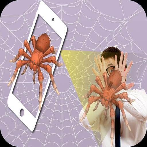 Spider Projection Simulator