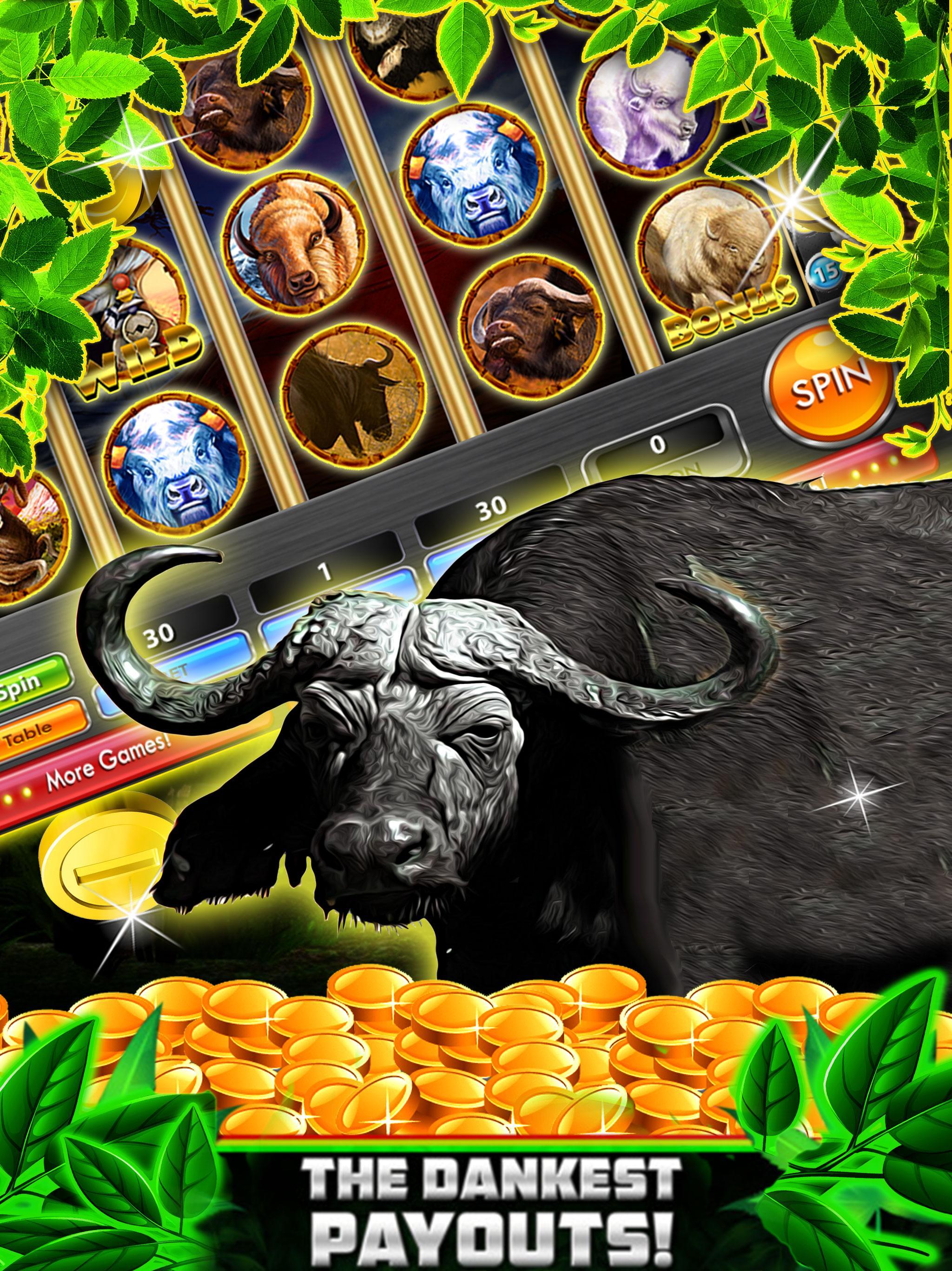 Wild Buffalo Safari HD Slots