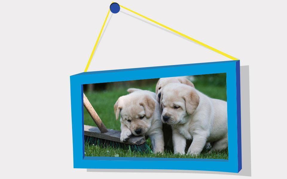Puppies Puzzle: Retriever