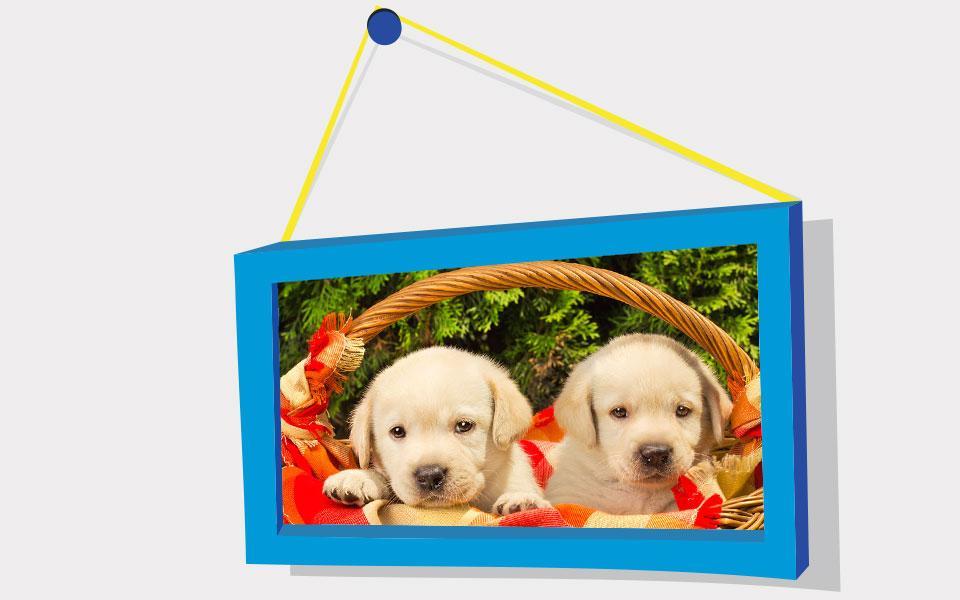 Puppies Puzzle: Retriever